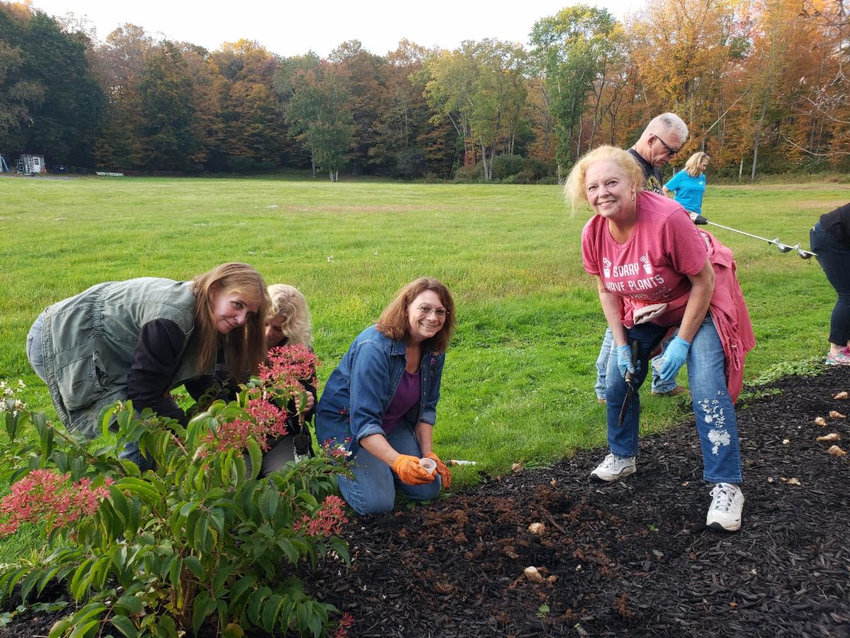 Volunteers work as a team: digging, fertilizing, and planting bulbs. Donna Day, left, Kath Johansen, Marian Hosking, and Paula Clark.